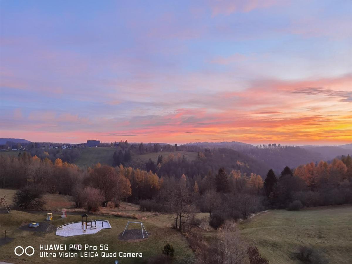 Penthouse Harz-Traum 372 Διαμέρισμα Hohegeiß Εξωτερικό φωτογραφία