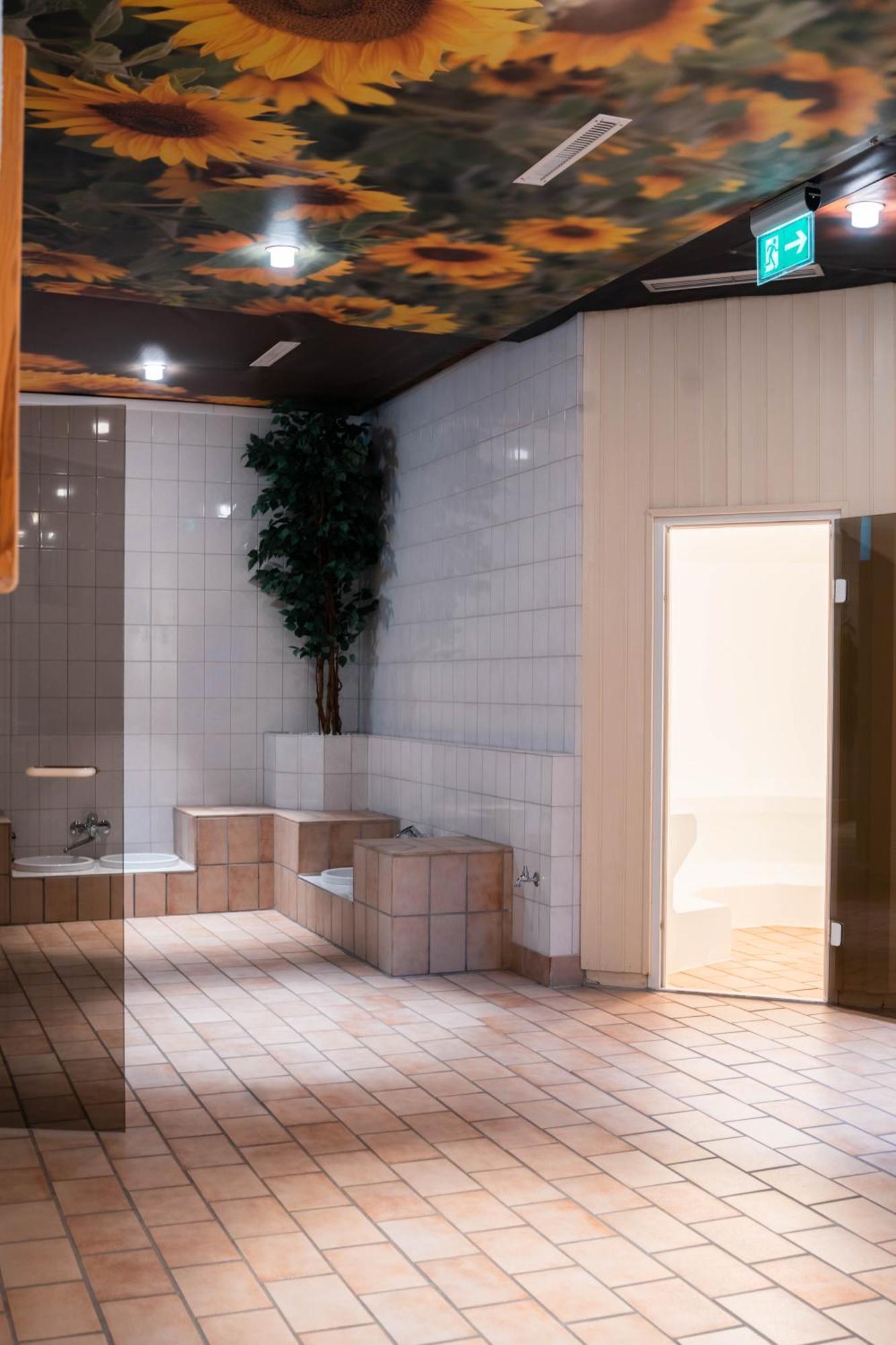 Penthouse Harz-Traum 372 Διαμέρισμα Hohegeiß Εξωτερικό φωτογραφία